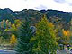 Aspen Mountain Cam