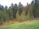 Main Moose Cam