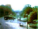 Towson University Cam