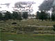 Mammoth WebCam